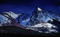 Majestuosas cumbres cubiertas de nieve reflejan la serena belleza de la naturaleza, enmarcadas por cielos oscuros y bosques frondosos.