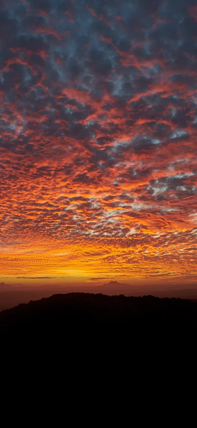 Vibrant Dusk: A Canvas of Orange Clouds Illuminating the Sky