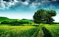 Prairie verte luxuriante sous un ciel dramatique