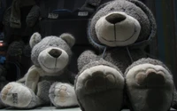 Adorables ours en peluche gris dans une vitrine