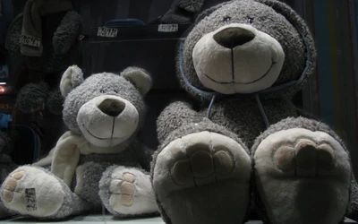 Adorable Gray Plush Teddy Bears in a Display