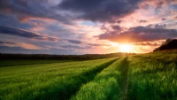 Pôr do sol sobre campos verdes exuberantes sob nuvens dramáticas