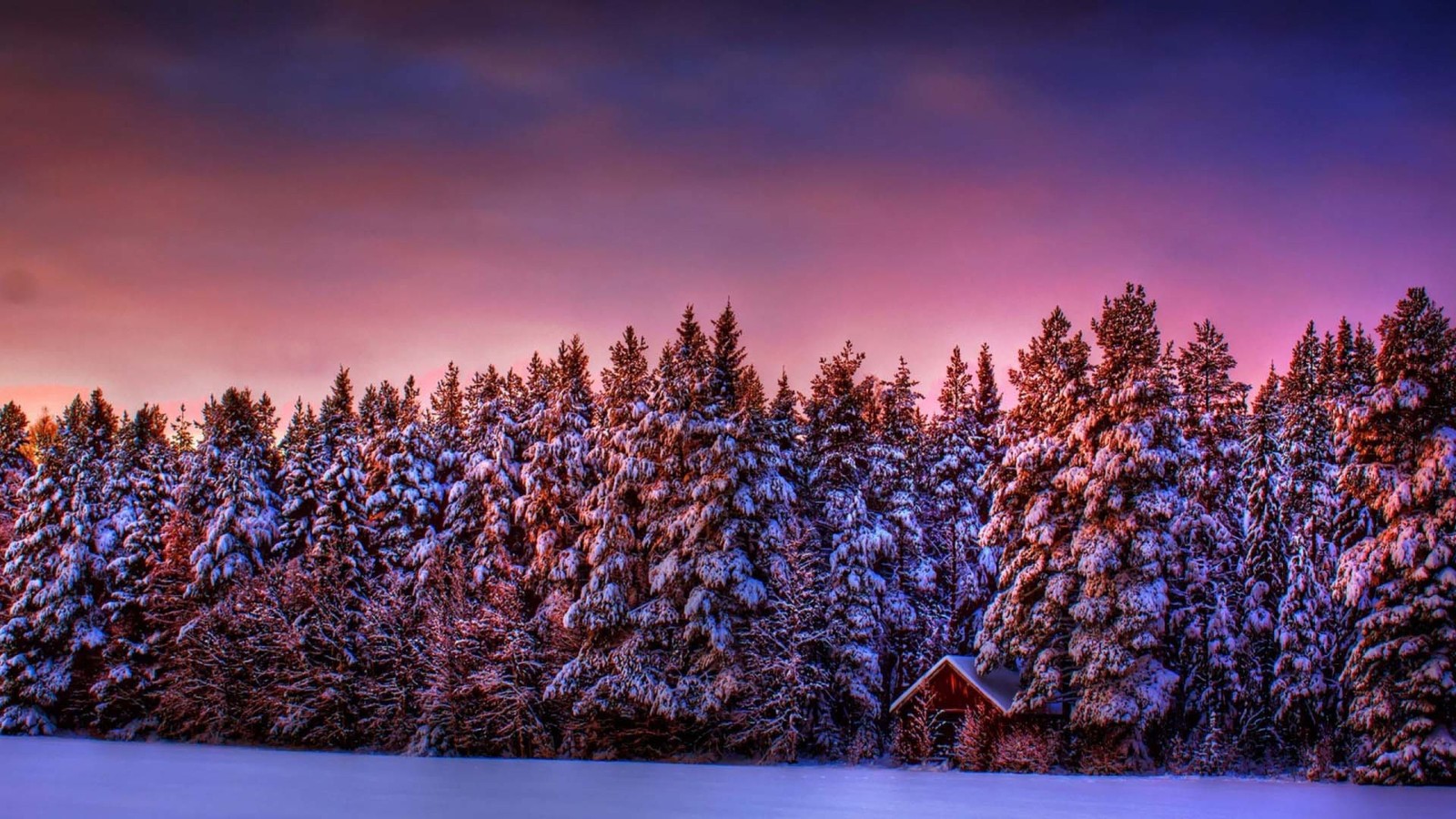 Uma vista de uma cabana em um campo nevado com árvores ao fundo (inverno, roxo, natureza, neve, árvore)