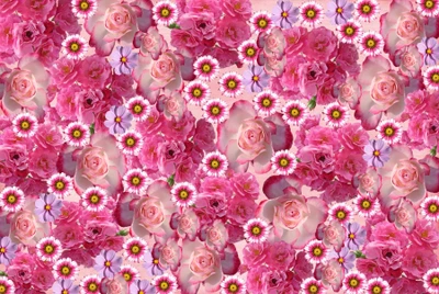 Vibrant Pink Floral Background with Roses and Daisies