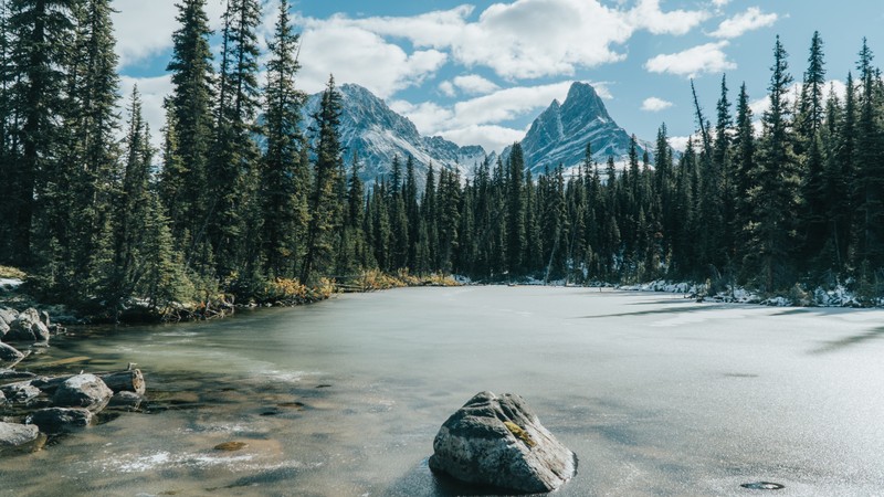 Большой камень лежит на озере рядом с лесом (лес, озеро луиза, lake louise, озеро, дерево)