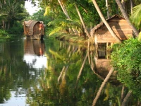 Aguas tranquilas de Kochi: Un canal sereno rodeado de vegetación exuberante y casas tradicionales, que refleja la belleza de la naturaleza.