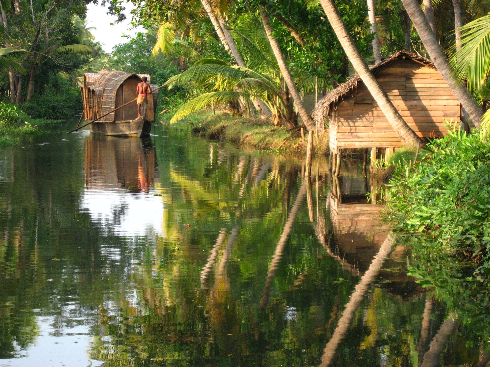 Trees are growing along the water and a houseboat is in the water (kochi, alappuzha, reflection, vegetation, tree)