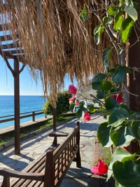 Seaside Retreat with Bougainvillea and Wooden Bench