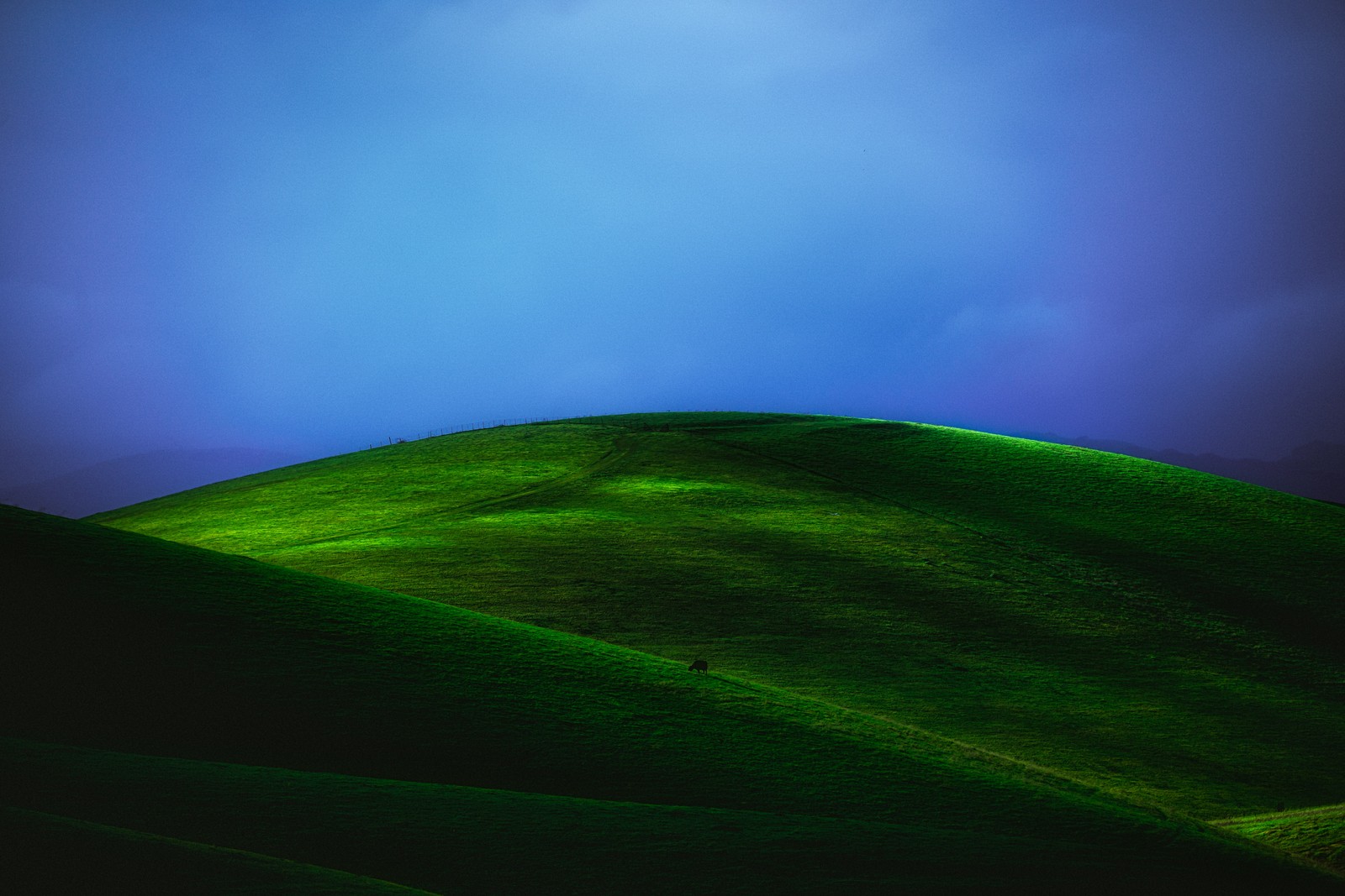 Uma vista arafed de uma colina verde com uma única árvore (campo, prado verde, paisagem, campo de grama, céu azul)