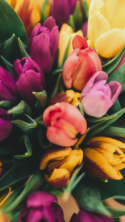 Vibrant Spring Bouquet of Colorful Tulips