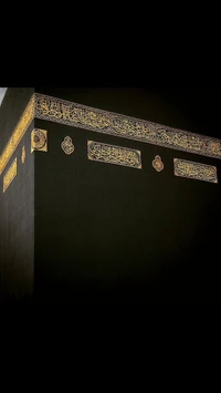 holly, kabah wallpaper