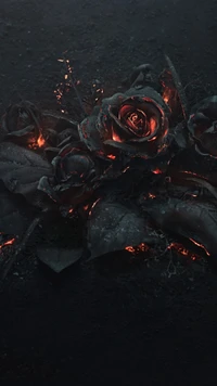 Roses noires brûlantes dans l'obscurité