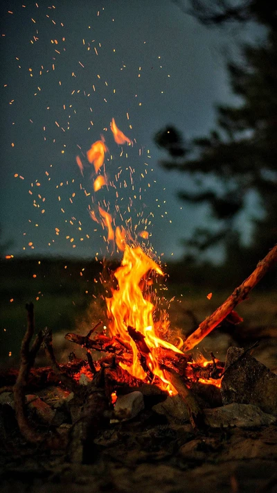 Cozy Campfire Glow and Sparkling Embers