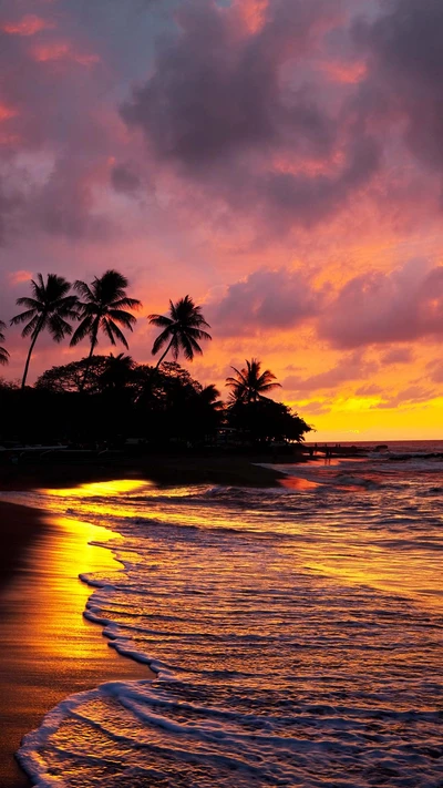 strand, sonnenuntergang, wasser