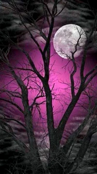 Arbre en silhouette contre un ciel violet et une pleine lune