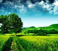 Paysage verdoyant sous un ciel étoilé