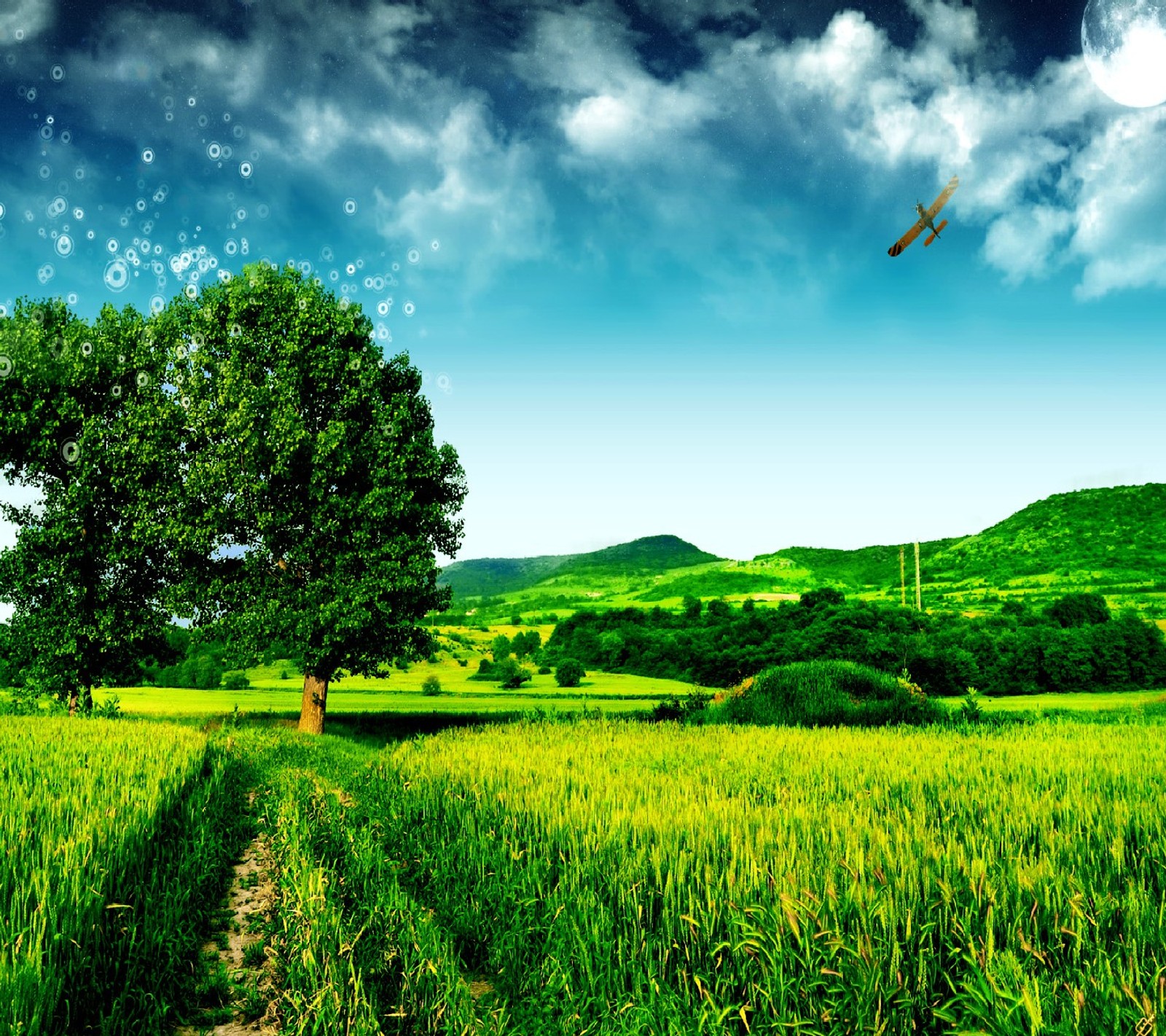 A view of a field with a tree and a plane flying in the sky (nature)