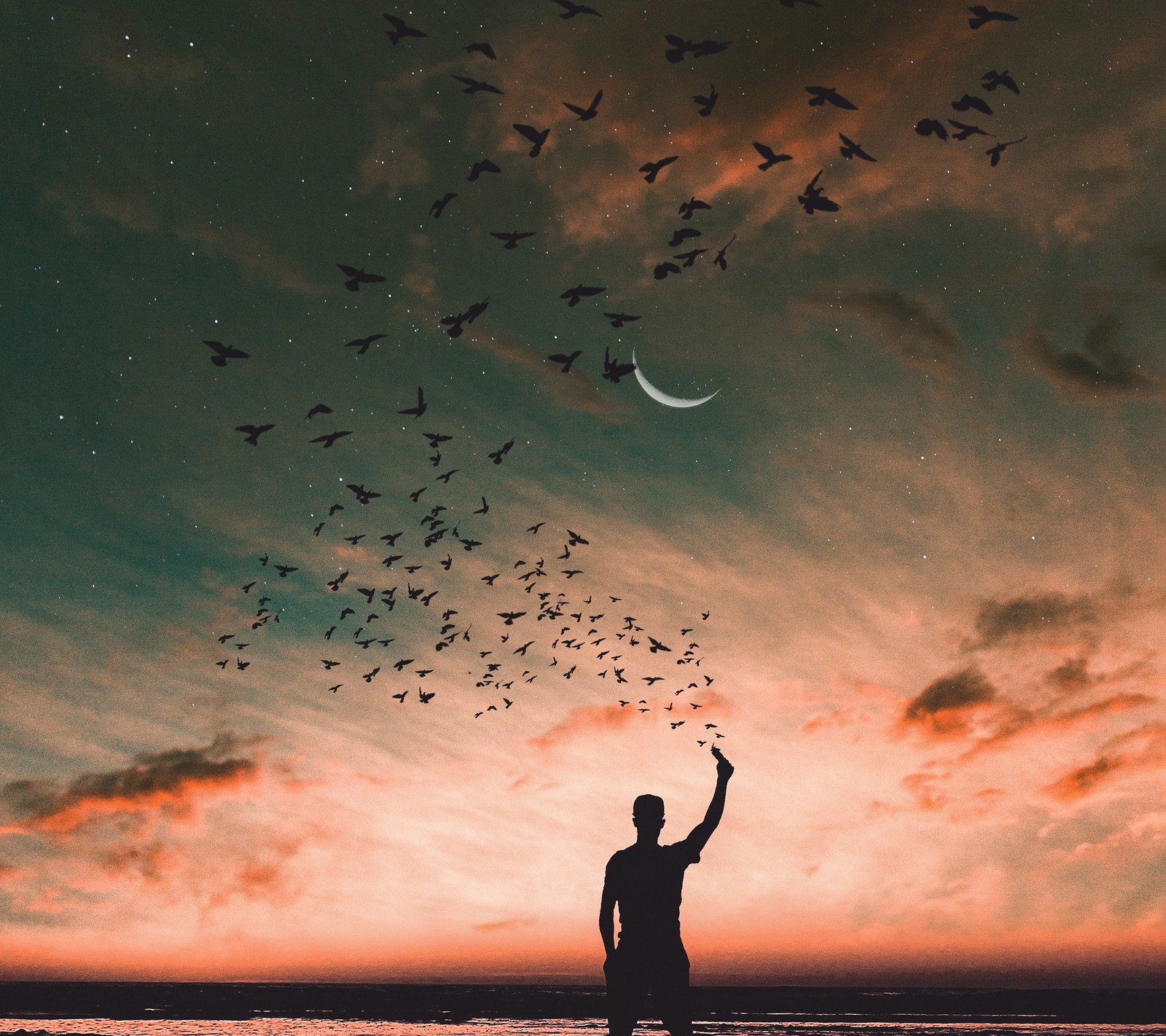 Um homem em pé na praia com um bando de pássaros voando no céu (amor, galatasaray, deniz, por do sol, noite)