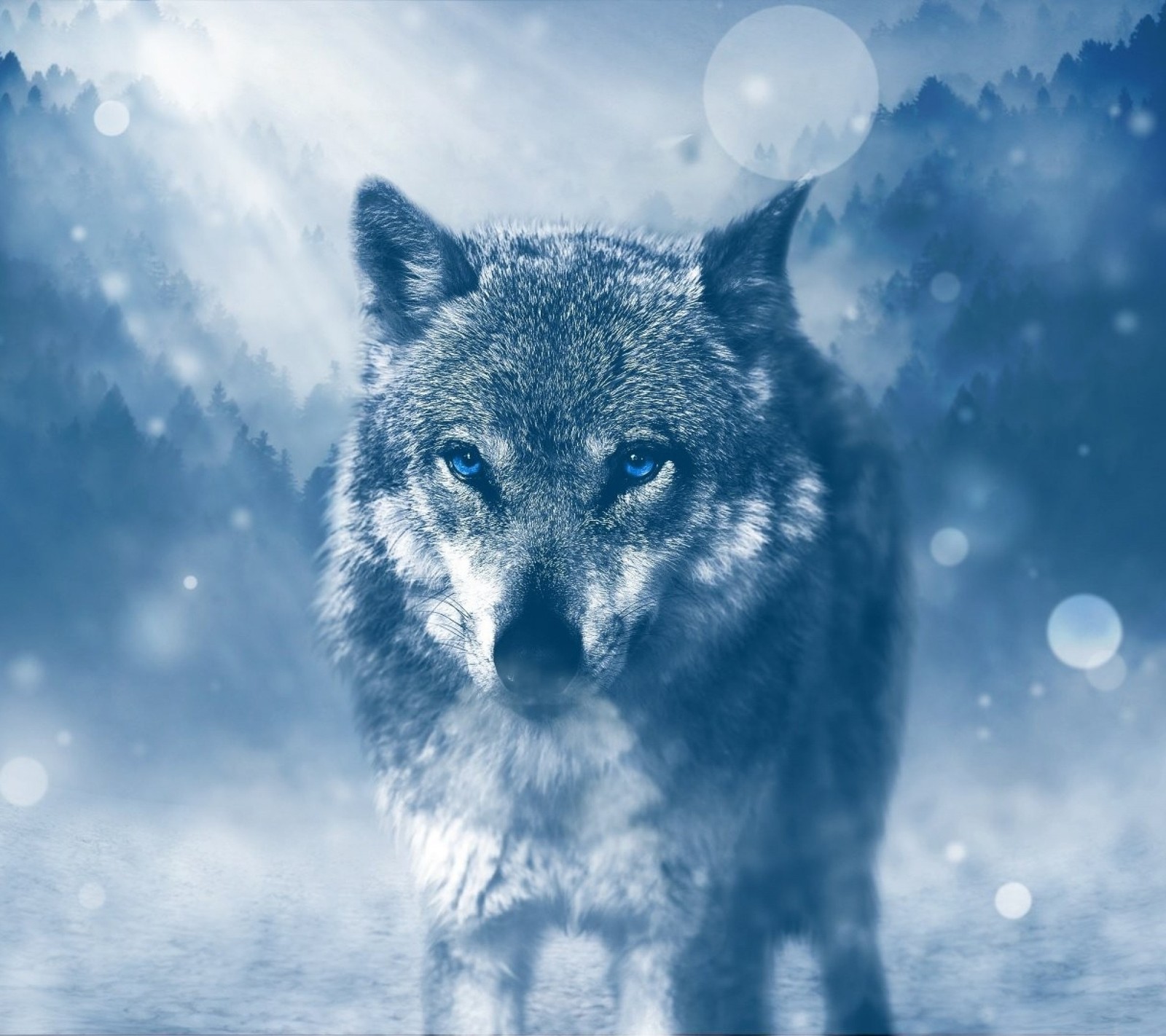 Lade tiere, schnee, der wolf Hintergrund herunter