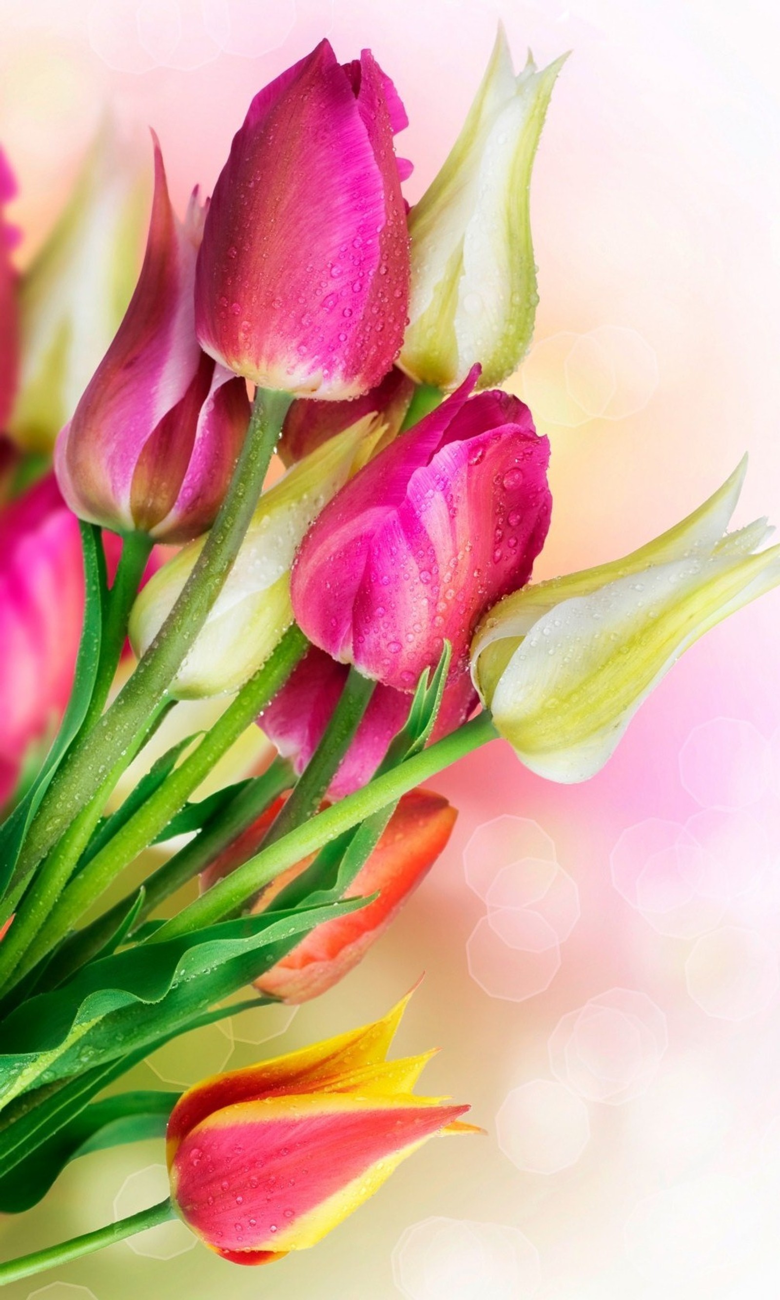 There are many pink flowers in a vase on a table (bokeh, colors, flower, nature, spring)