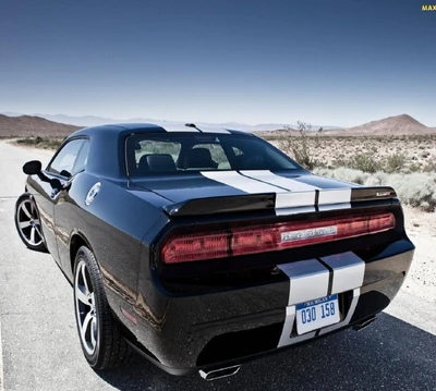 carros, desafiante, dodge