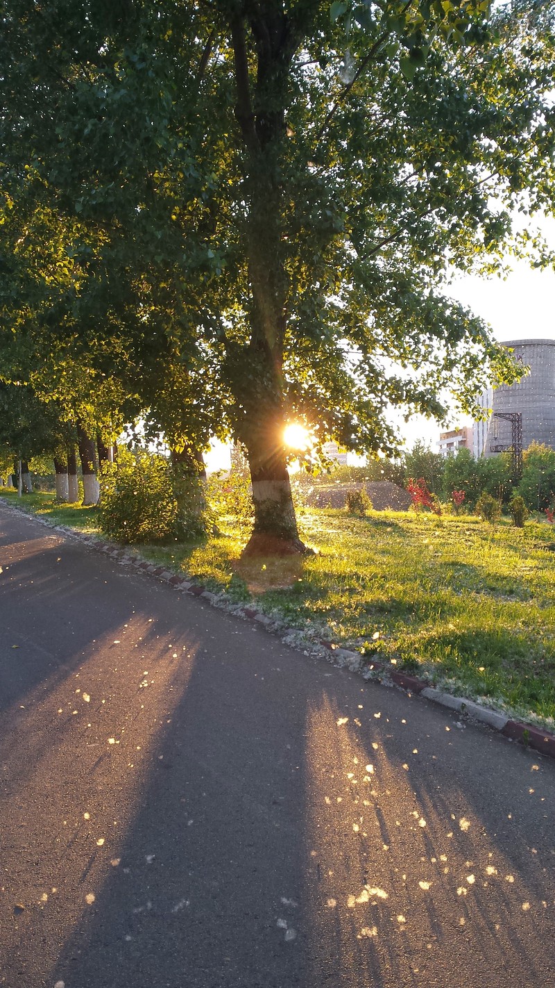 Вид сверху на улицу с деревом и скамейкой посередине (404, солнце)