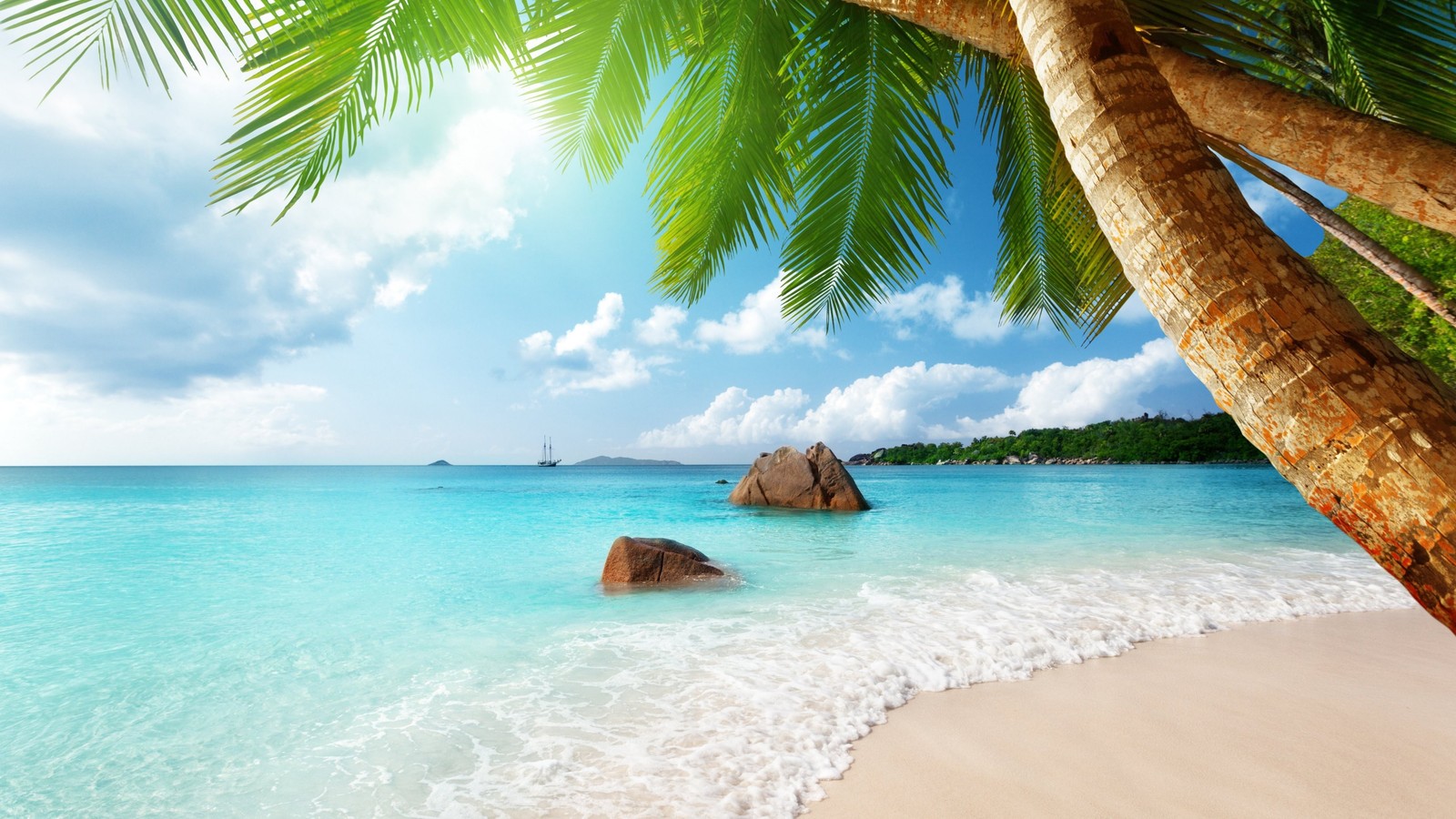 Une plage avec des palmiers et une roche dans l'eau (plage, océan, mer, nature, tropiques)