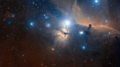 orion nebula, nebula, orion, galaxy, outer space