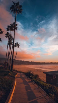 Tranquil Dusk by the Waterfront with Palm Trees and Colorful Clouds