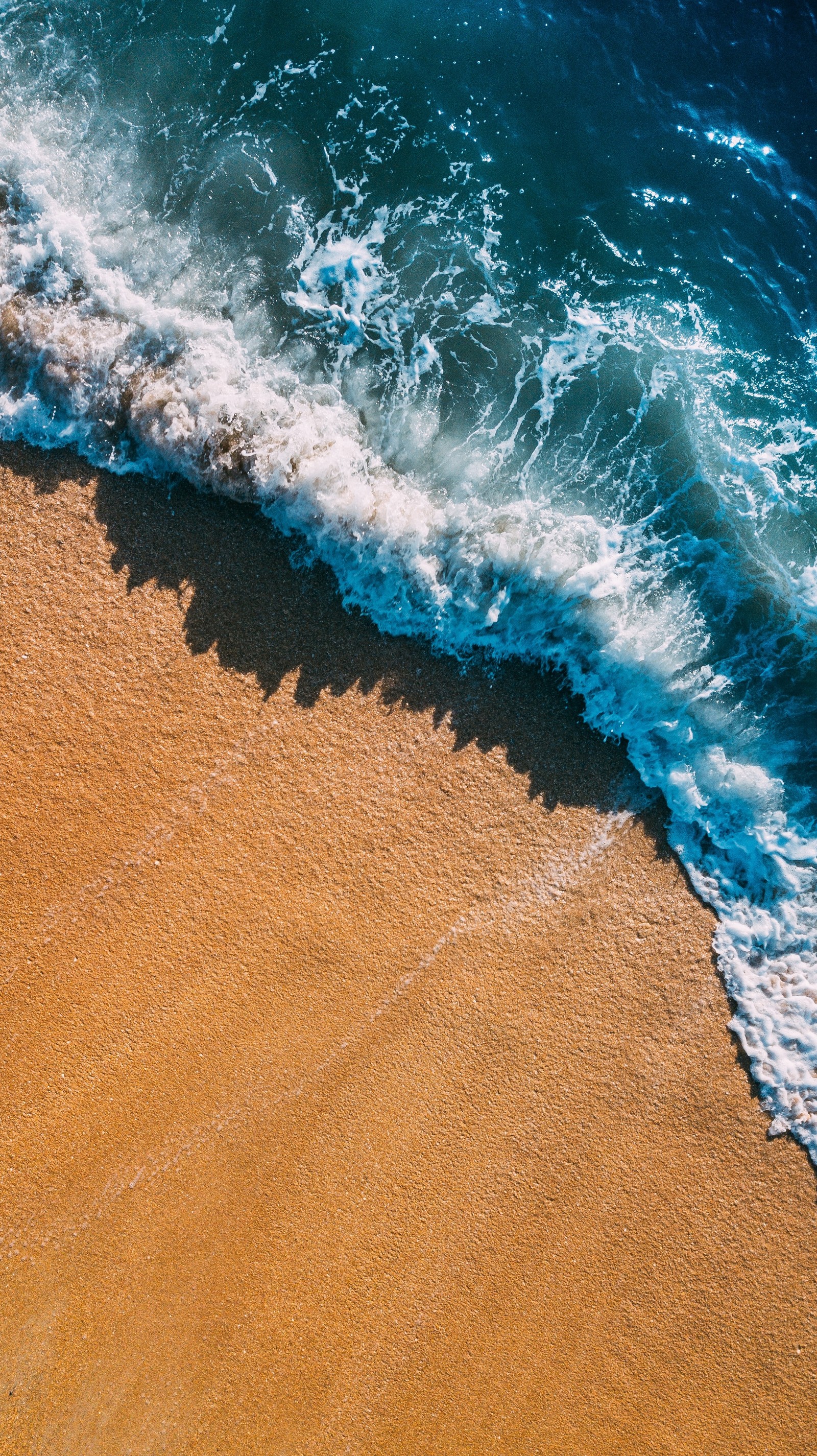 Скачать обои море, вода, жидкость, пляж, дерево