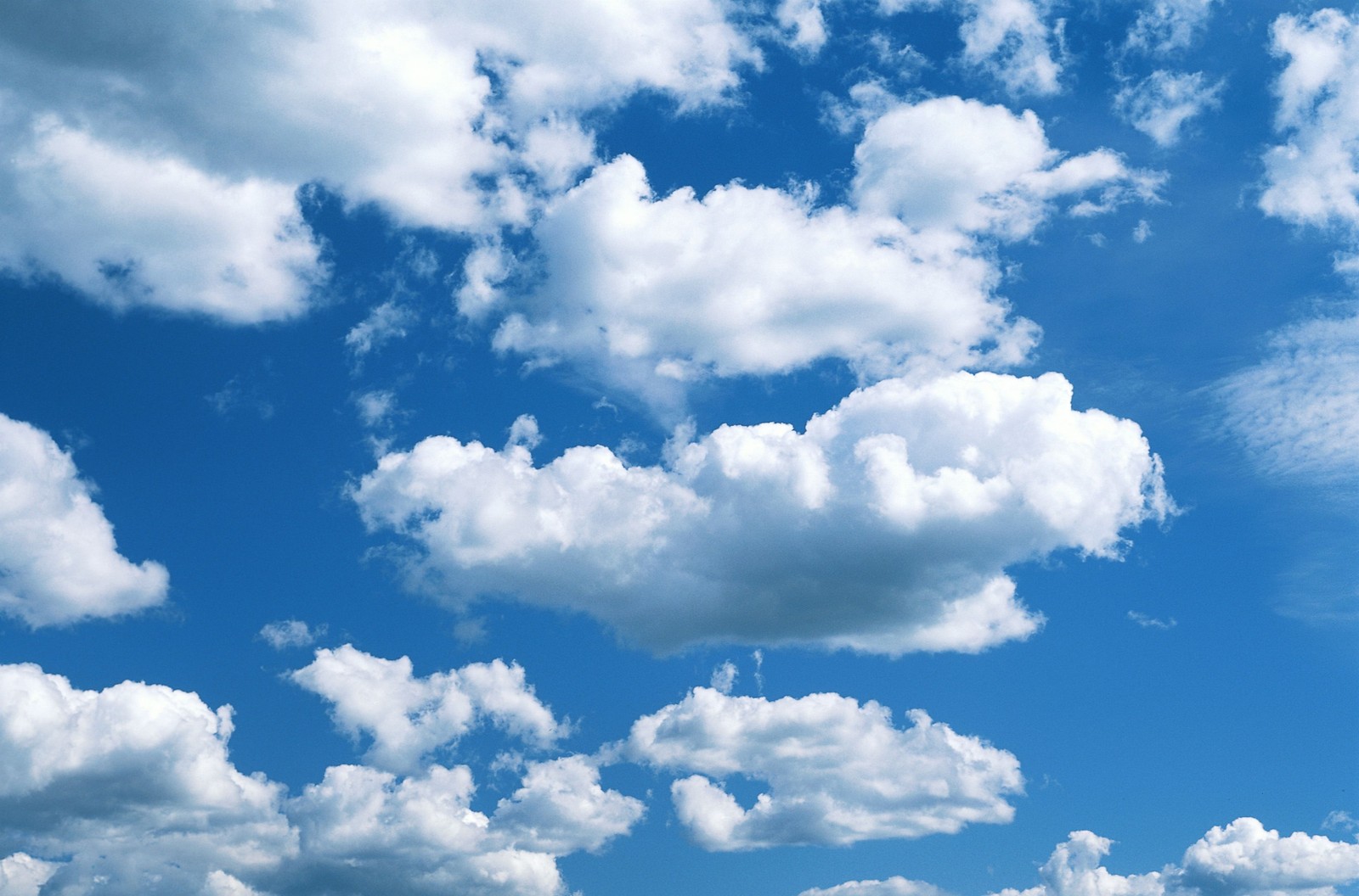 Il y a beaucoup de nuages dans le ciel au-dessus d'un champ d'herbe (nuage, journée, cumulus, bleu, atmosphère)