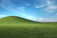 Colinas verdes vibrantes bajo un cielo azul - Paisaje nostálgico de Windows XP