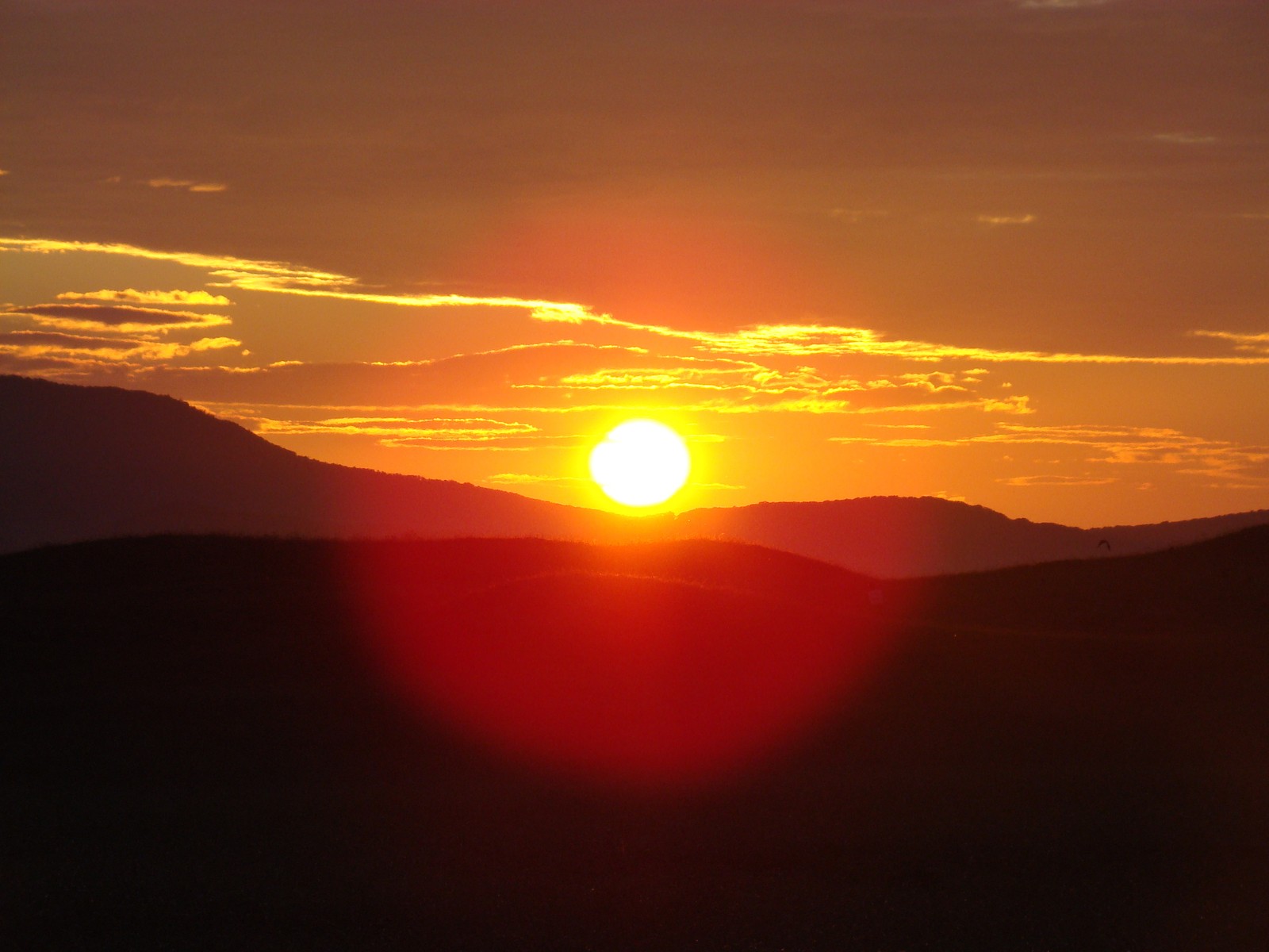 Girafas à distância com uma montanha ao fundo (resplendor, nascer do sol, alvorada, por do sol, sol)