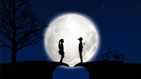 Moonlit Romance: A Bicycle Encounter Under the Night Sky