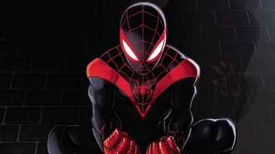 spider, hero, black, verse, animated