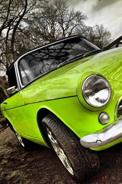 Voiture classique verte vibrante au milieu des arbres nus