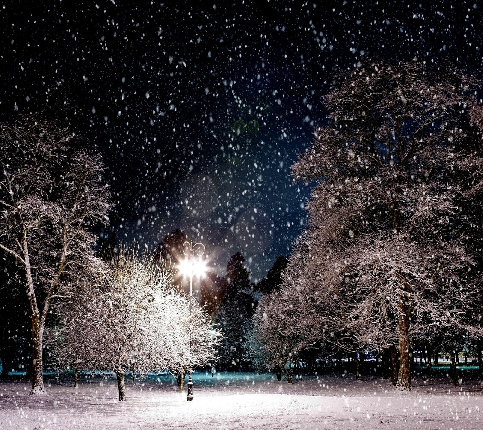 Escena nocturna nevada con un banco y árboles en primer plano (night in january)