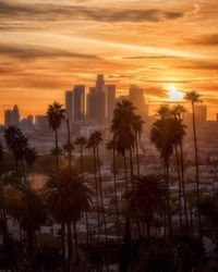 ciudad, los ángeles, los angeles, atardecer