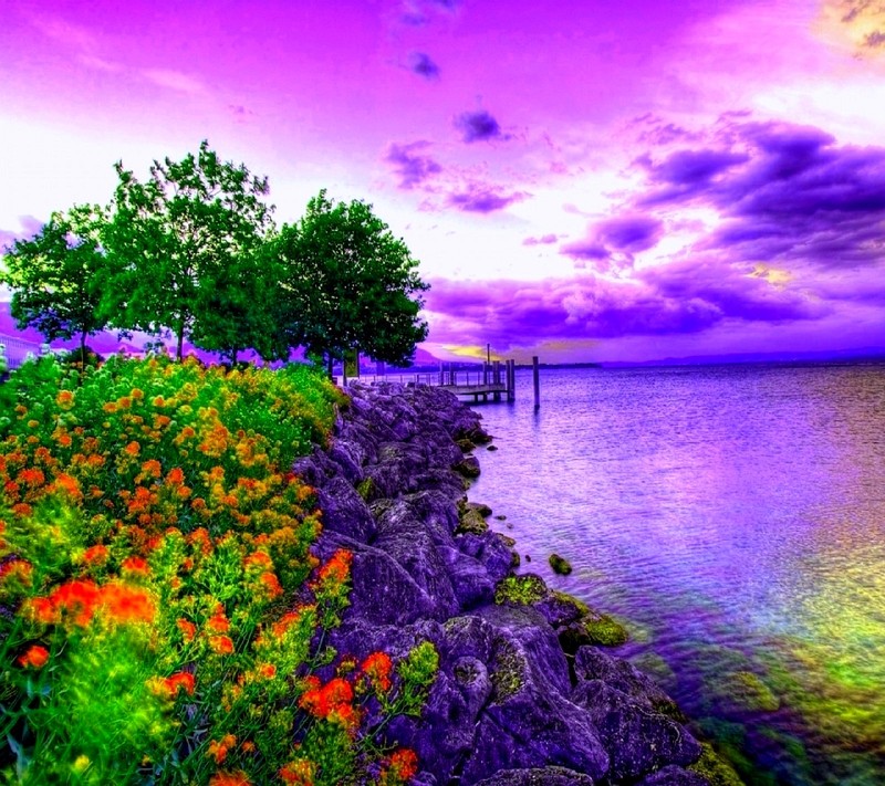 Purple sky over the water and a dock with flowers (nature)