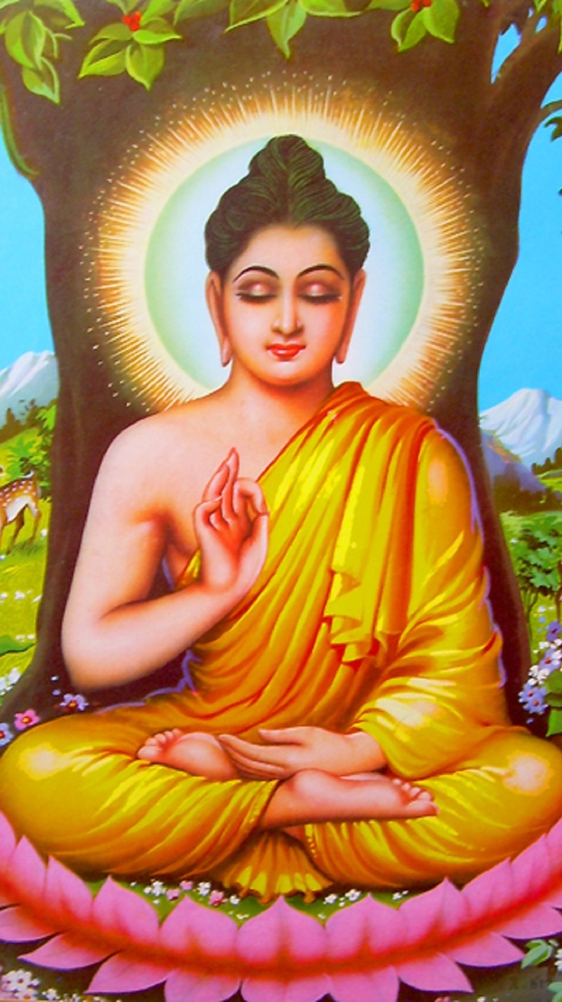 Картина будды, сидящего в позе лотоса перед деревом (религия, the buddha)