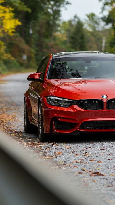 BMW M3 F80 Facelift: Rote Limousine auf Blätterstraße