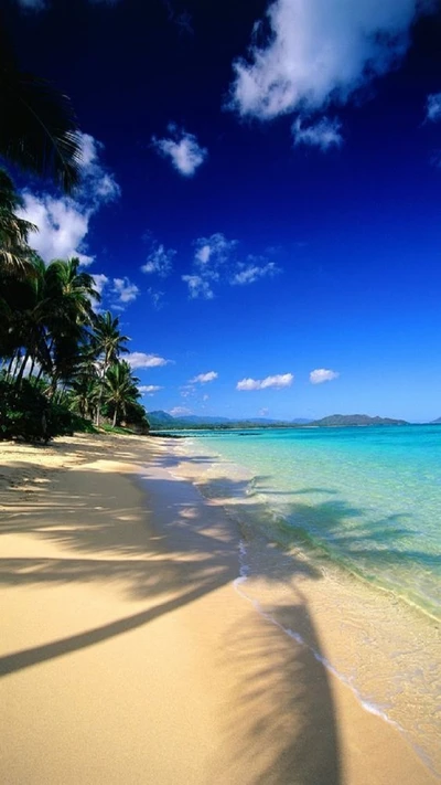 strand, sand, meer