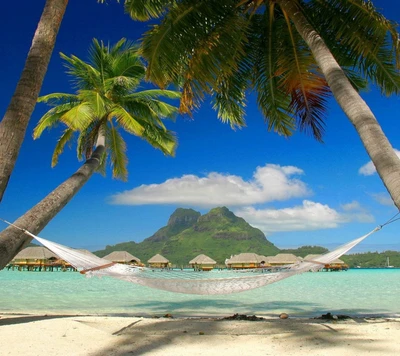 Oasis tranquille en bord de mer avec hamac et palmiers tropicaux