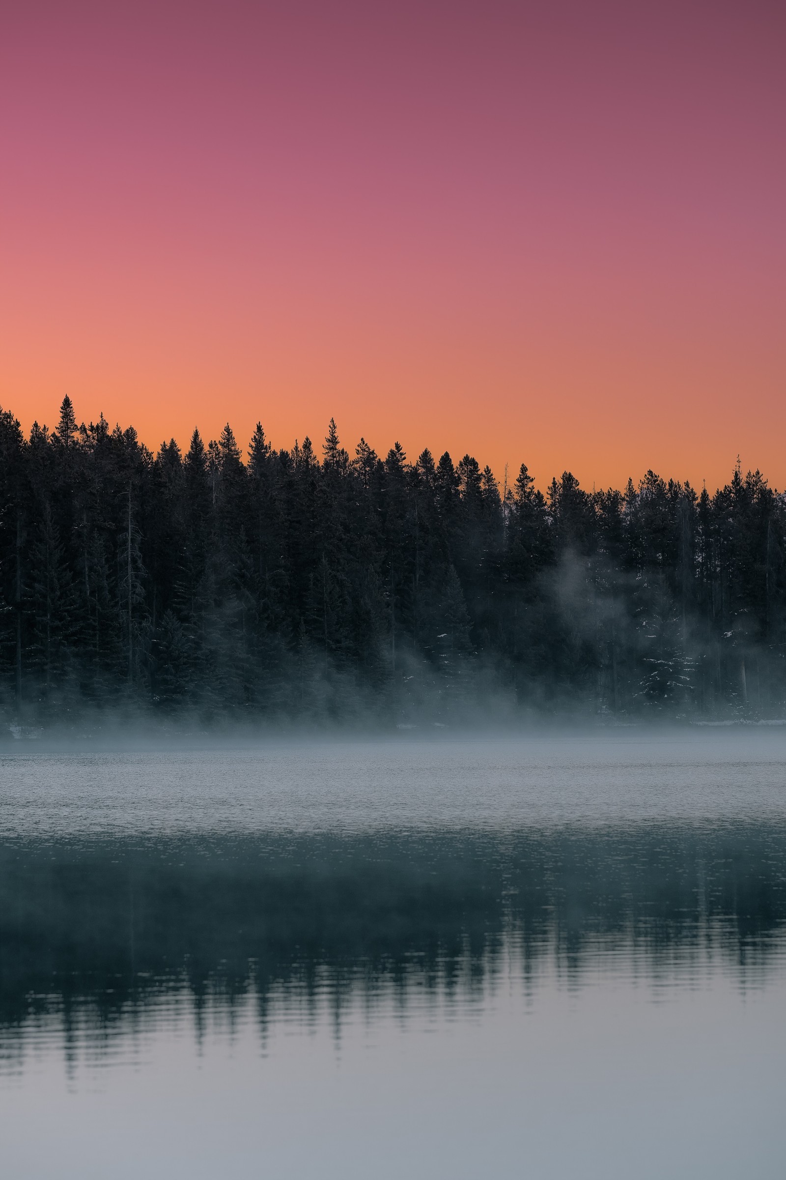 morning, sky, fog, mist, nature wallpaper