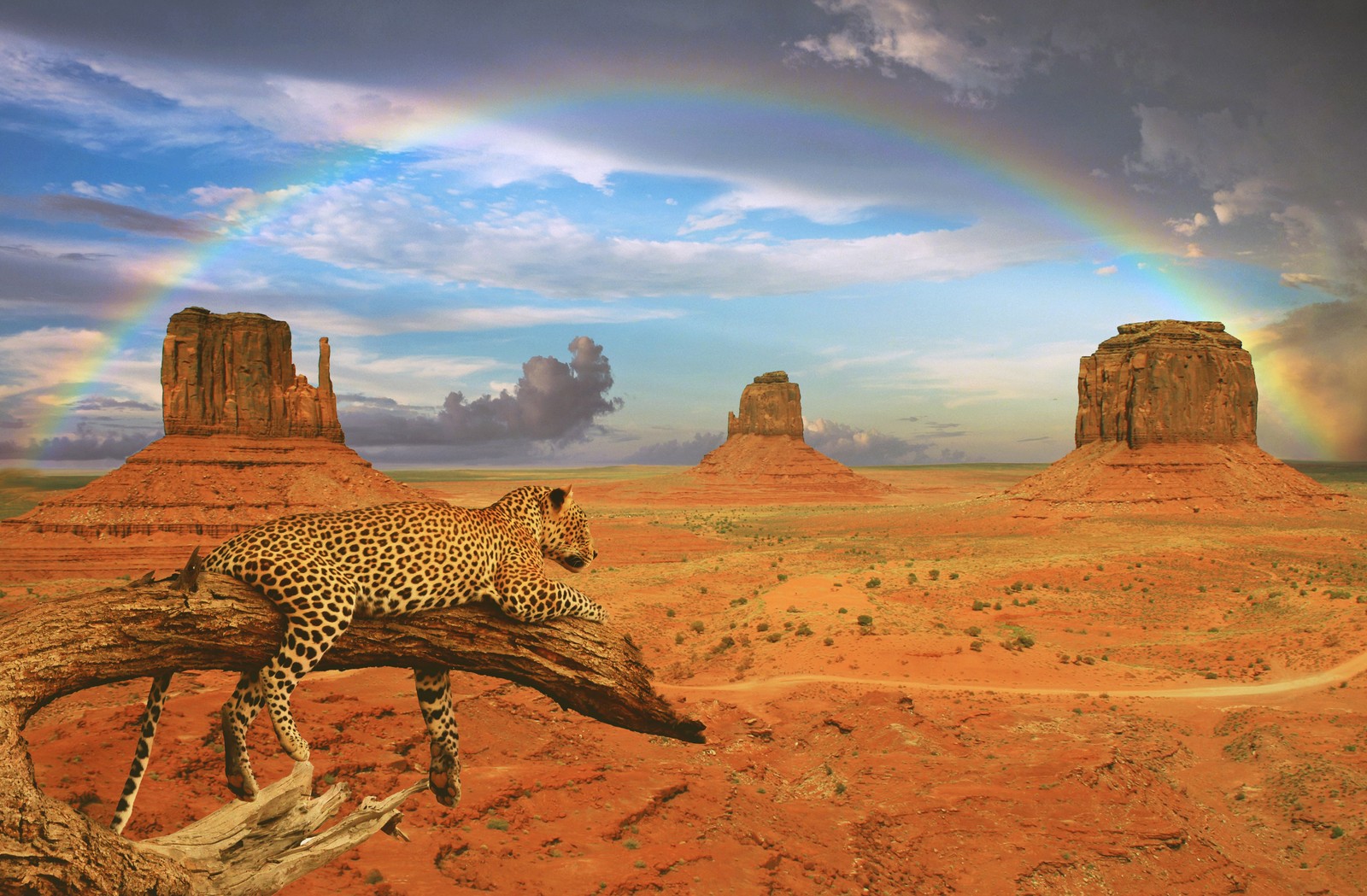 Une girafe dans le désert avec un arc-en-ciel dans le ciel (monument valley, butte, paysage, désert, nuage)