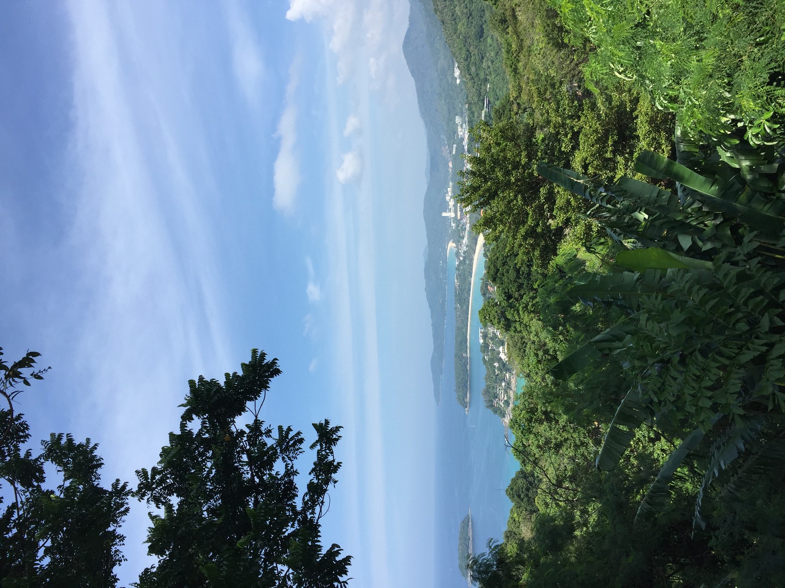 A view of a beach with a body of water and trees (nature, water resources, waterfall, vegetation, rainforest)