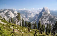 half dome, glacier point, yosemite valley, mountain, plant wallpaper