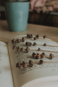 Acentos de lavanda en un libro de cocina abierto en una cocina acogedora