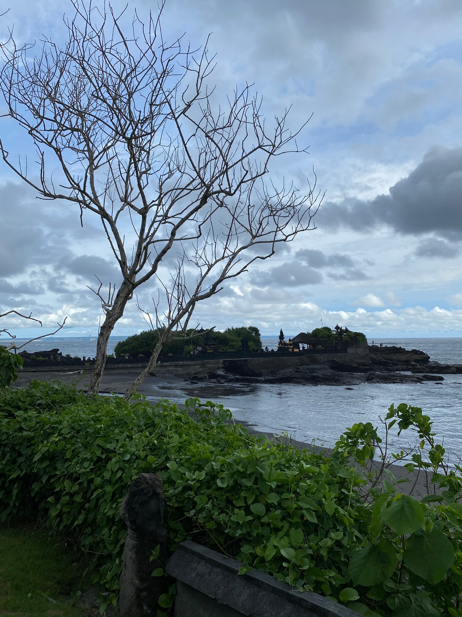 There is a dog sitting on a bench by the water (indonesia, bali, water, science, biology)