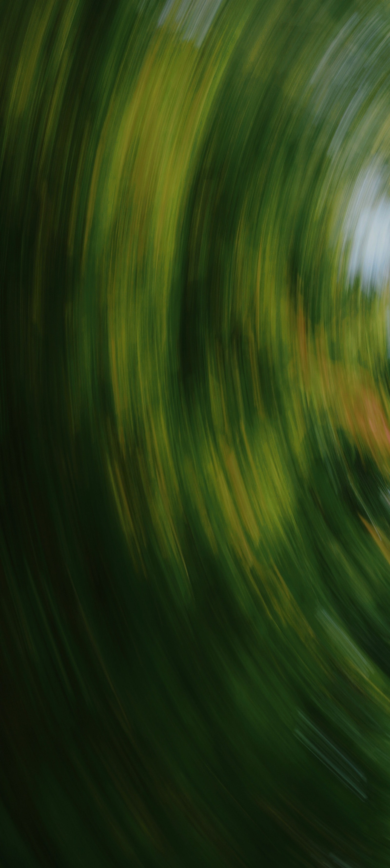 Blurred image of a person riding a skateboard on a path (leaf, water, natural landscape, plant, grass)